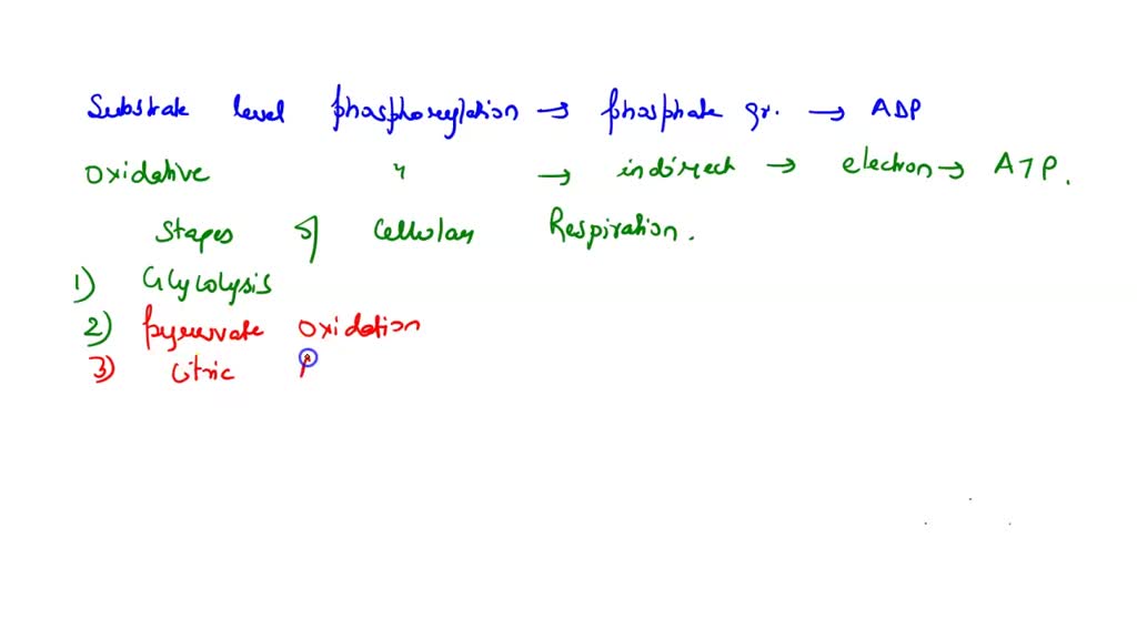 Solved Describe The Difference Between Substrate Level Phosphorylation And Oxidative 6179