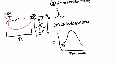 draw-the-sn2-mechanism-of-the-reaction-between-s-2-bromobutane-and-iodide-ion-show-lone-pairs-electron-pushing-arrows-3-d-view-to-reflect-appropriate-stereochemistry-reactants-transition-sta-09843
