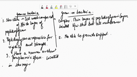 compare-and-contrast-the-cell-walls-of-gram-positive-and-gram-negative-bacteriawith-a-neat-sketch-33462