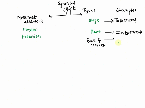 2021-bconcept-mappingstan-1fill-in-the-blanks-to-complete-this-concept-map-outlining-the-relationship-of-articular-surface-shape-to-the-action-that-occurs-at-a-joint-berios-hinpe-nships-amon-72447