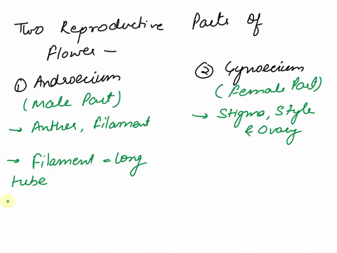 explain-reproductive-parts-of-flower-and-types-of-flowers-on-the-basis-of-it-74564