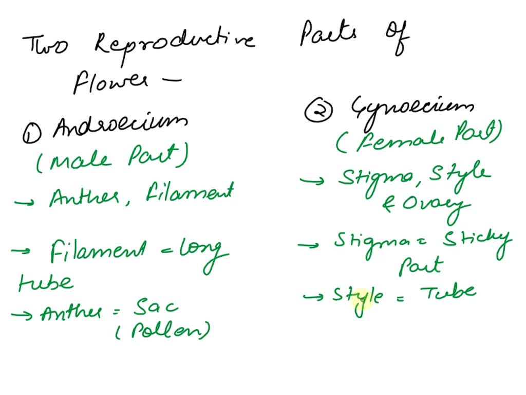 solved-explain-reproductive-parts-of-flower-and-types-of-flowers-on