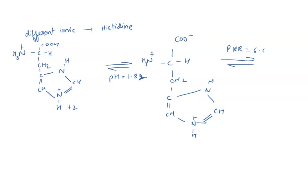 SOLVED The graphs show a titration curve for the amino acid histidine