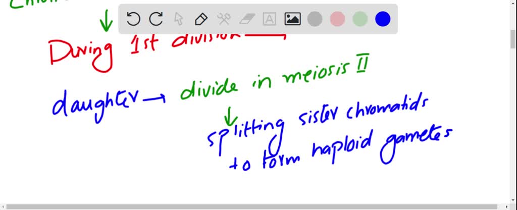 SOLVED: What event occurred during this cycle of meiosis? Type your