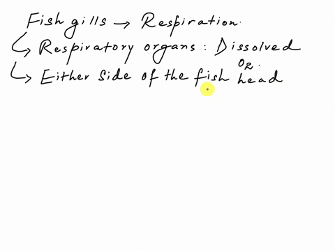 describe-how-fish-gills-work-including-the-basic-concept-of-countercurrent-exchange-why-is-this-proc-57542