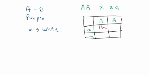 consider-a-cross-of-yy-x-yy-pea-plants-what-is-the-phenotypic-ratio-of-the-f-progeny-what-is-the-genotypic-ratio-if-hey-are-different-explain-why-4-pl-in-pea-plantspurple-flowers-a-are-domin-23342