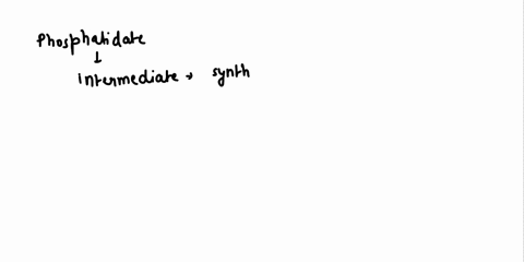 the-synthesis-of-both-glycerophospholipids-and-triacylglycerols-involves-a-arachidonate-b-cdp-diacylglycerol-c-eicosanoids-d-phosphatidate-e-phosphoethanolamine-63893