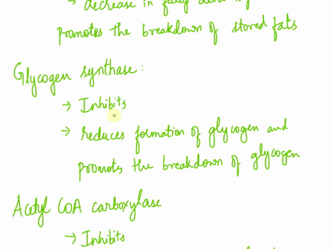 3 2 pts fill in the table indicating the role of insulin and glucagon ...