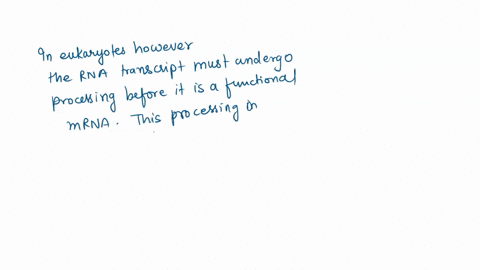 10-_-processing-of-primary-mrna-transcript-in-eukaryotic-cell-does-not-normally-involve-attachment-of-a-long-polya-sequence-at-the-3-end-conversion-of-normal-bases-t0-modified-bases-such-as-25509