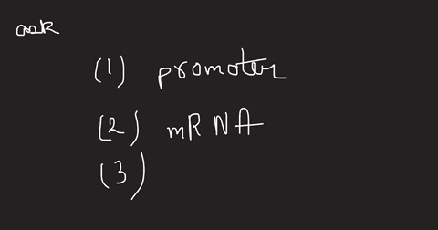 transcription-begins-near-a-site-in-the-dna-called-the________-while-the-terminator-specifies-the-end-of-transcription-transcription-unit-response-element-promoter-enhancer-________-is-direc-39828