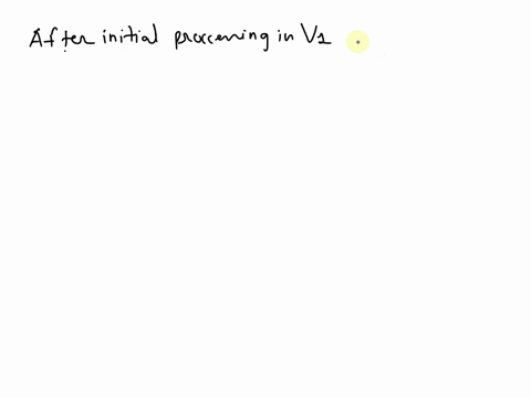 after-initial-processing-in-v1-where-does-information-go-about-the-details-of-an-object-o-parasympathetic-nervous-system-othird-ventricle-dorsal-stream-oventral-stream-07524