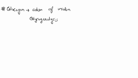 6_-glucagon-is-responsible-for-a-glycogen-breakdown-b-clycogen-synthesis-c-glycolysis-d-fight-or-flight-response-epinephrine-is-produced-by-a-pancreas-b-adrenal-gland-c-liver-d-muscle-non-ca-29837