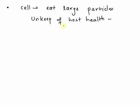 which-type-of-cell-can-eat-large-particles-such-as-microorganisms-red-blood-cell-hibroblast-ncutrophil-cpithclial-ccll-17987