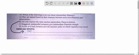 10-which-of-the-following-is-not-true-about-intermediate-filaments-a-they-are-named-based-on-their-diameter-between-actin-microfilaments-and-microtubules_-b-all-cells-express-the-same-nuclea-16455