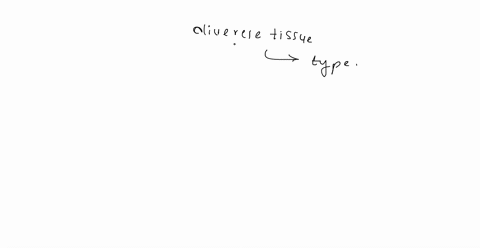 which-of-the-following-is-the-most-diverse-tissue-type-in-animals-in-terms-of-structure-and-function-select-all-that-apply-epithelial-nervous-connective-muscle-15416