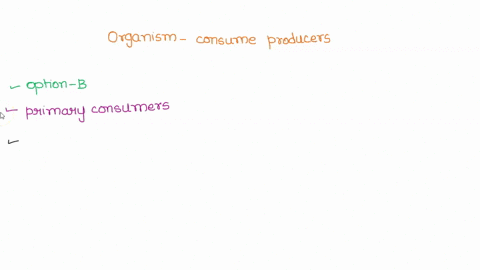 organisms-that-consume-producers-are-detritivores-producers-primary-consumers-decomposers-84802