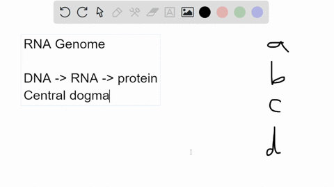 which-of-the-following-may-use-rna-as-its-genome-a-a-bacterium-b-an-archaeon-c-a-virus-d-a-eukaryote-98808