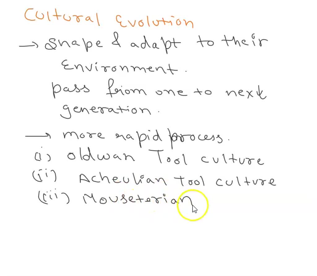 SOLVED: Describe the cultural evolution that took place with homo sapiens, in  other words, what enabled modern humans to colonize the world? Include a  description of Upper Paleolithic tool technology and at