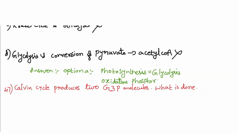 43-the-light-dependent-reactions-of-photosynthesis-are-similar-to-_______________-of-cellular-respiration-a-glycolysis-and-oxidative-phosphorylation-b-oxidative-phosphorylation-and-krebs-cyc-93304