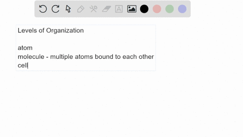 place-the-following-levels-of-biological-organization-in-order-from-smallest-to-largest-atom-biosphe-45298