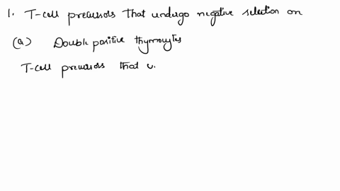 the-cells-responsible-for-positive-selection-of-t-cell-precursors-are-the-bone-marrow-stromal-cells-thymic-cortical-epithelial-cells-thymic-medullary-epithelial-cells-macrophages-and-dendrit-98677