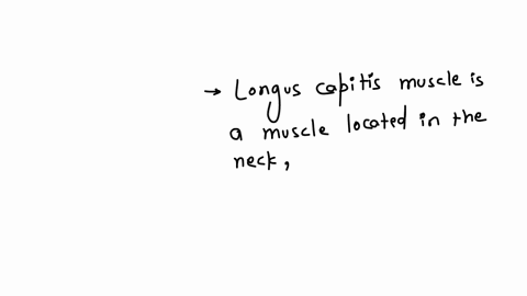 all-of-the-following-are-content-of-the-vertebral-compartment-of-the-neck-except-a-vagus-nerves-b-cervical-nerves-c-spinal-cord-d-longus-capitis-muscle