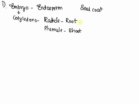 1-what-changes-when-a-seedling-grows-2-what-special-structures-develop-when-a-seedling-grows-what-is-their-function-3-how-did-you-decide-which-plants-to-keep-and-which-plants-to-remove-what-93223