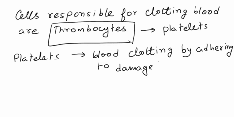 please-answer-this-correctly-8-the-cells-responsible-for-clotting-blood-are-erythrocytes-leucocytes-thrombocytes-hepatocytes-67373