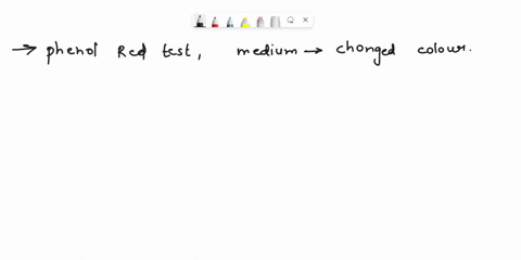quistion-mnil-dolng-phenol-red-test-next-day-vct-obsacva-produiced-during-crincntation-red-yellow-yollow-pinkto-bieer-bue-ellon-cngcd-color-which-color-canee-du-lollorang-arote-uueteadeal-qu-24105