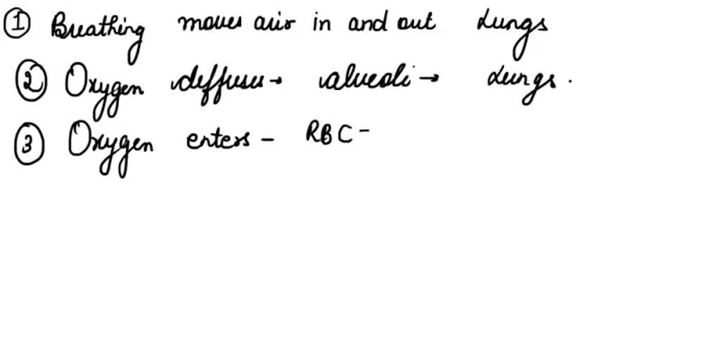 Solved Bioflix Activity Gas Exchange Key Events In Gas Exchange Part A Key Events In Gas