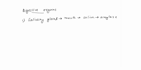 there-are-digestive-organs-found-in-us-that-earthworms-do-not-have-choose-any-three-and-explain-why-the-organs-are-not-necessary-in-an-earthworm-94443