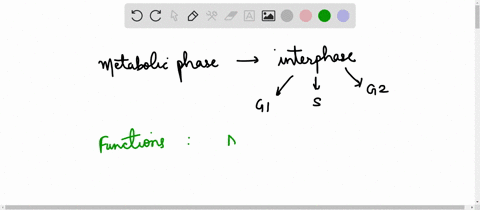 which-of-the-following-events-does-not-occur-during-some-stages-of-interphase-a-dna-duplication-b-in-13062
