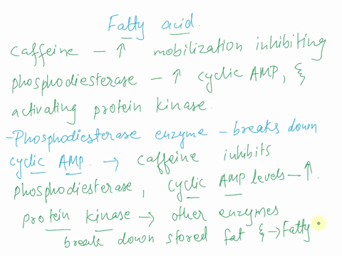 question-34-caffeine-can-increase-fatty-acid-mobilization-by-inhibitingphosphodiesterase-increasina-the-formation-of-cyclicamp-activating-protein-kinase-all-of-these-answers-are-correct-2-po-45879
