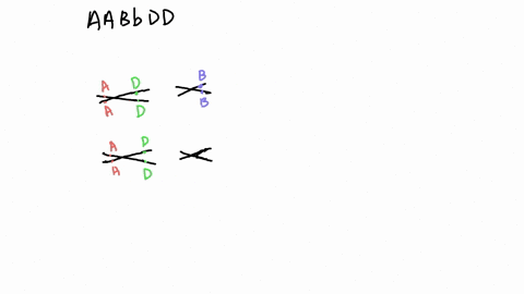 draw-a-stick-figure-diagram-of-a-cell-the-anaphase-stage-of-of-meiosis-i-with-a-diploid-number-6-with-submetacentric-chromosomes-and-the-genotype-aabbdd-1-distinguish-chromosomes-based-on-si-45172