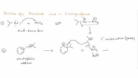 draw-the-structure-of-the-two-products-obtained-in-the-reaction-between-benzene-and-2-bromopropane-in-the-presence-of-alcl3-in-your-drawing-identify-the-major-and-minor-products-briefly-expl-61174