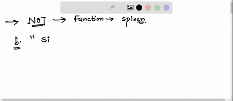 which-of-the-following-is-not-a-function-of-the-spleen-select-all-that-apply-which-of-the-following-is-not-a-function-of-the-spleen-carry-out-immune-functions-similar-to-lymph-nodes-site-of-18208