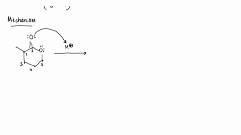 predict-the-mechanism-for-the-following-ester-hydrolysis-reaction-hint-the-mechanism-is-the-reverse-of-the-fischer-esterification-mechanism-hzo-h2so4-ho_-oh-38946