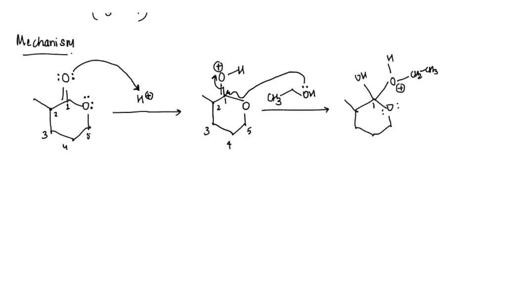 solved-how-is-the-mechanism-of-a-reversible-esterification-reaction