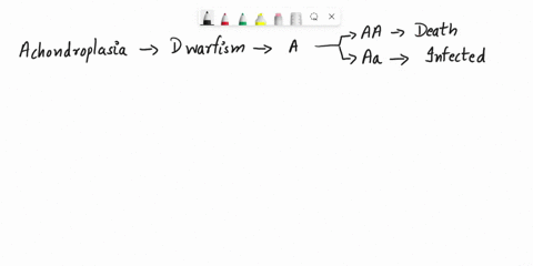 thc-following-questions-refer-t0-the-pedigree-chart-in-figure-1l2-for-family-some-of-uhose-members-exhibit-the-dominant-trait-waflected-individuals-are-indicated-by-dark-square-or-circle-all-78436