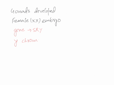 how-would-the-gonads-develop-in-a-female-xx-human-embryo-exposed-to-high-levels-of-testosterone-select-one-a_-they-would-develop-as-ovotestes-b-they-would-develop-as-testes-c-the-embryo-woul-56785