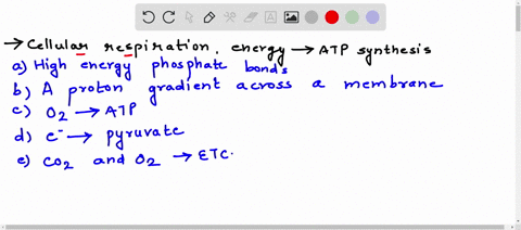 in-cellular-respiration-the-energy-for-most-atp-synthesis-is-supplied-by-a-high-energy-phosphate-bonds-in-organic-molecules-b-a-proton-gradient-across-a-membrane-c-converting-oxygen-to-atp-d-72562