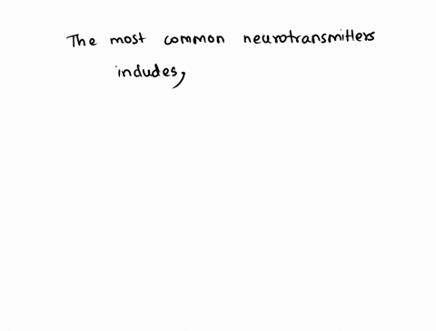 12-what-is-the-most-common-neurotransmitter-in-the-human-body-89105