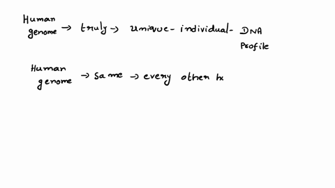 what-percentage-of-the-human-genome-is-truly-unique-to-the-individual-and-usable-for-dna-profiling-999-50-1-01-55594