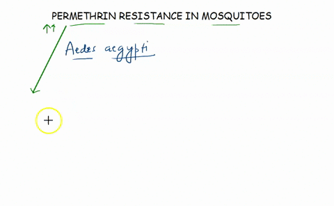 question-14-2-points-saved-if-the-mechanism-of-resistance-to-permethrin-in-3-species-of-mosquito-is-detoxification-by-an-enzyme-and-you-inhibit-that-enzyme-in-that-the-following-is-true-mosq-38941