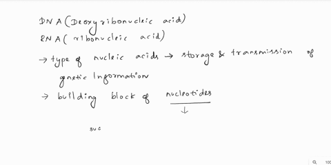 1-nh-dlonreuntlue-hc-8-cytosine-c-thymine-t-uracil-u-adenine-a-guanine-g-83936