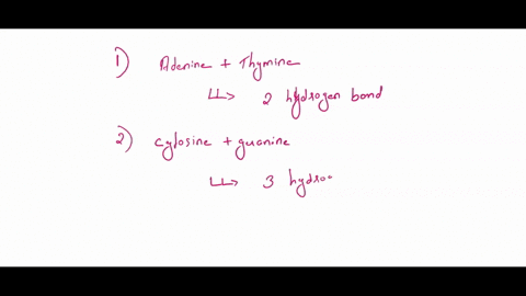 7-adenine-and-thymine-form-guanine-form-bonds-a2-3-b-3-c32-d-4-3-hydrogen-bonds-between-them-while-cytosine-and-answer-8-the-idea-that-the-adenine-and-thymine-bases-of-the-dna-interact-in-so-99077
