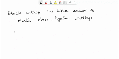 17_-why-do-you-think-elastic-cartilage-has-a-higher-amount-of-elastic-fibers-than-hyaline-cartilage-hint-think-of-the-location-of-the-elastic-cartilage-18-why-do-you-think-fibrocartilage-is-60106