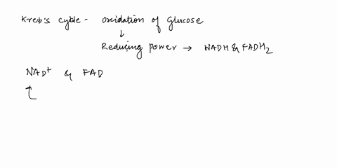 question-271pointsaved-in-the-krebs-cycle-the-oxidation-of-energy-rich-compounds-produces-the-reducing-power-of-nadh-and-fadh2-nad-and-fadh2-atpand-nadh-fadh2and-atp-92912