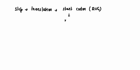 steps-in-translation-start-codon-signals-mrna-to-bind-to-small-subunit-of-ribosome-initiator-trna-with-amino-acid-methionine-attaches-its-anticodon-to-mr-site-of-ribosome-large-and-small-sub-80153