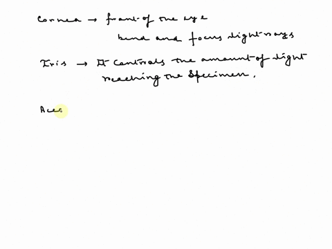 where-the-cornea-located-and-what-is-its-basic-function-how-is-the-iris-of-the-eye-similar-in-function-to-the-iris-diaphragm-of-microscope-what-is-accommodation-as-it-relates-to-our-visual-s-14939